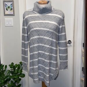 Tunic Style Striped Turtleneck